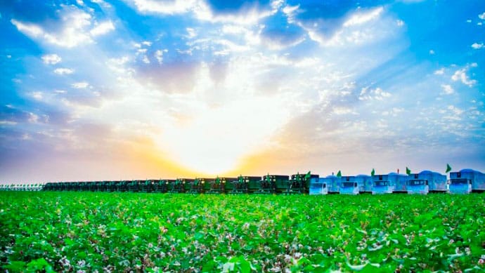 Türkmenistanyň demirgazyk welaýatynda pagta ýygymyna ykjam taýýarlyk görülýär