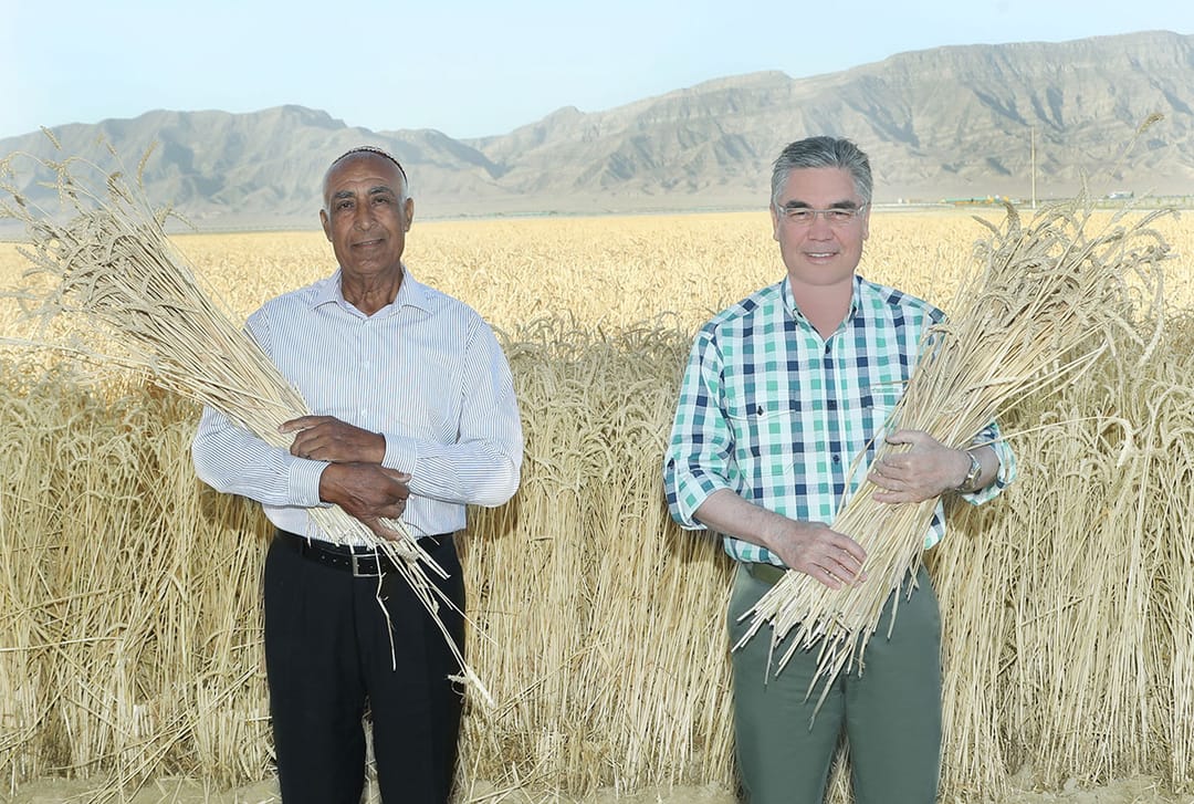 Президент Туркменистана лично опробовал новую сельхозтехнику на полях Балканского велаята