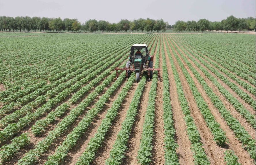 Türkmenistanda oba hojalygynyň ylmy taraplary güýçlendirilýär