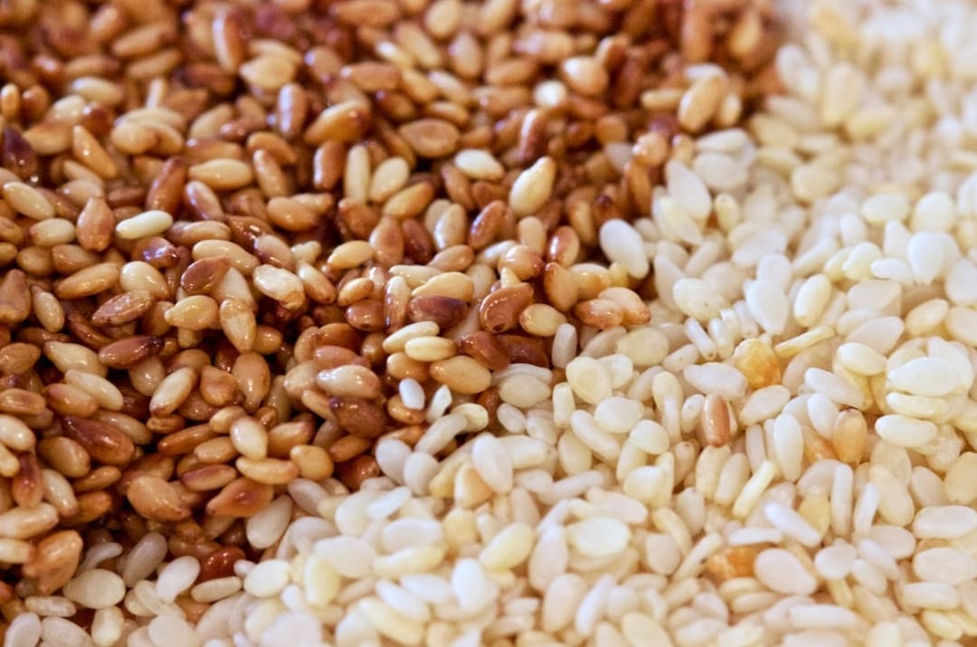 В Дашогузском велаяте второй год подряд в больших объемах культивируется кунжут