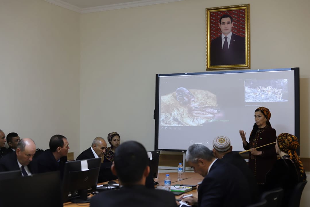 В Туркменистане подвели итоги природоохранной деятельности за 2024 год
