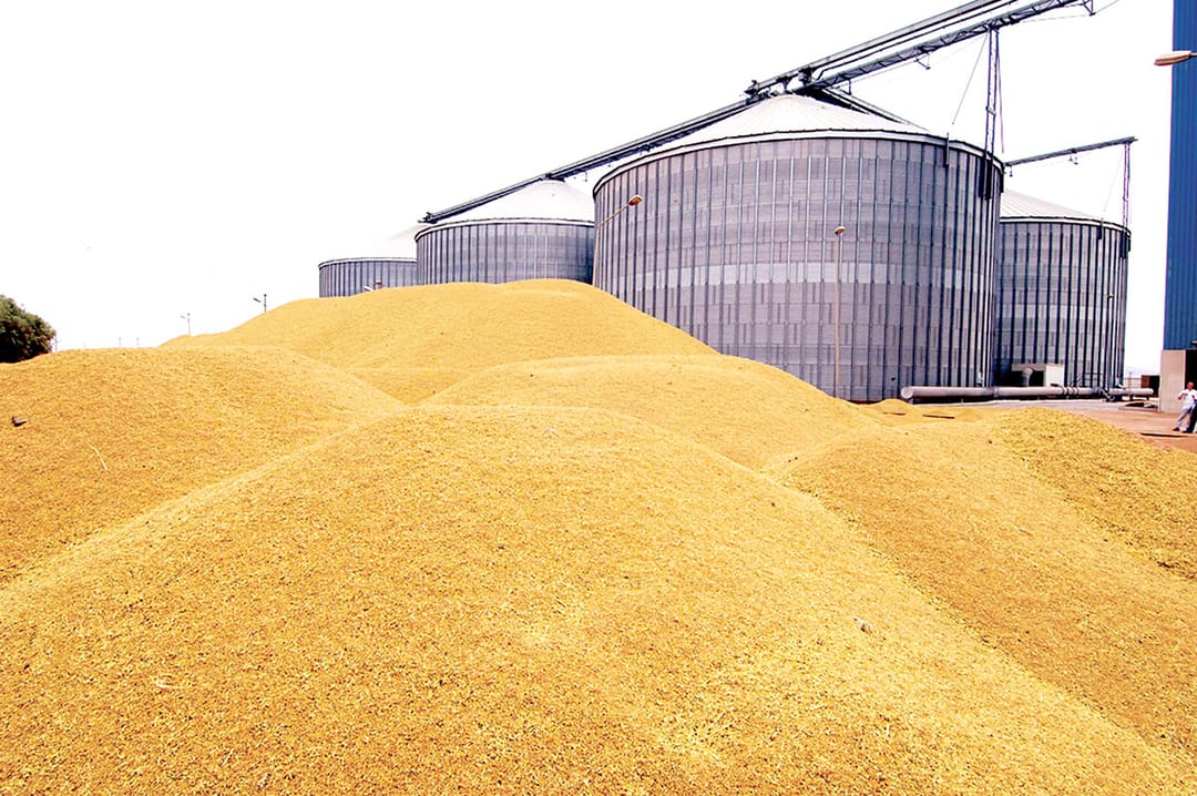 Предприятие «Altyn sähra» в 2020 году произвело хлебной продукции более чем на 20 млн манат