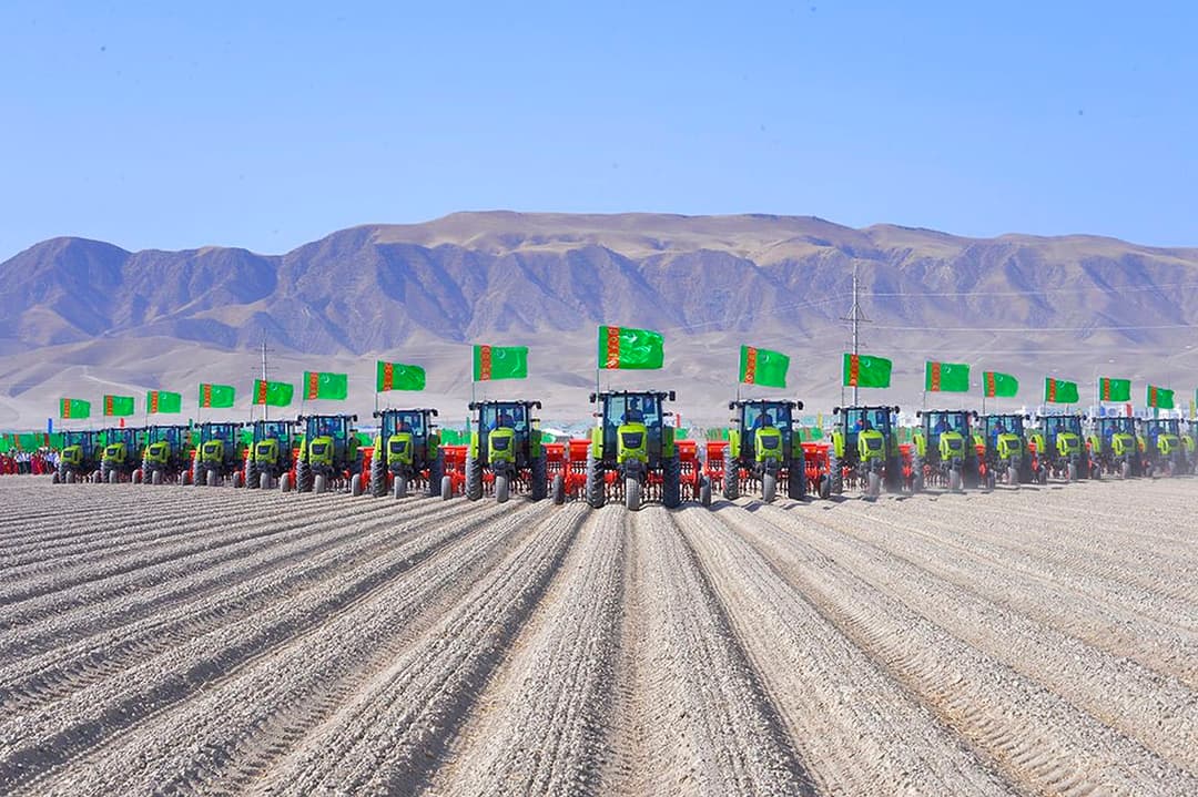 В Туркменистане предпринимаются меры по увеличению производства картофеля и овощебахчевых культур