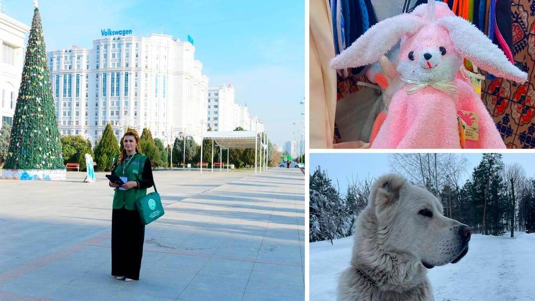 A population census has started in Turkmenistan, textile products with the symbol of the New Year have appeared in the shops of Turkmenistan, the head of Tatarstan has shared a photo of Alabai Akdus and other news