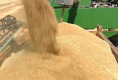 Türkmenistan 2011-nji ýyldan azyklyk bugdaý eksport edýän ýurtlaryň sanawyna girdi.