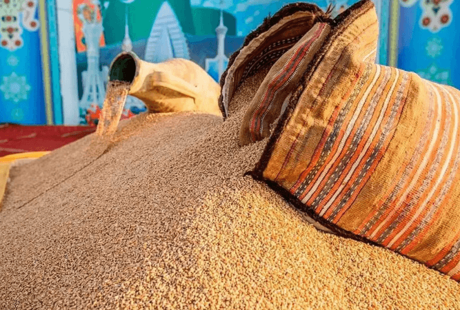 Хлебокомбинат на востоке Туркменистана произвел 13 602 тонны муки