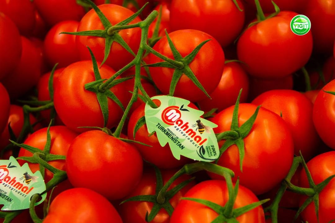 Компания «Йигит» выступит серебряным спонсором первой международной конференции по качеству в Туркменистане