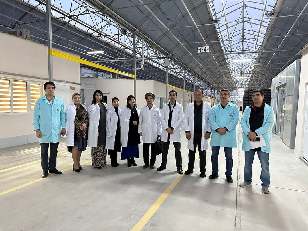 With the assistance of Standart Hyzmat the first GLOBAL G.A.P. certificate was obtained in Turkmenistan