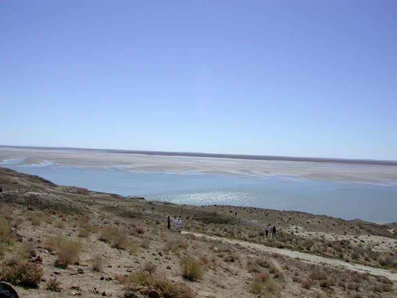 В северном регионе Туркменистана будет начато строительство нового русла канала Шасенем