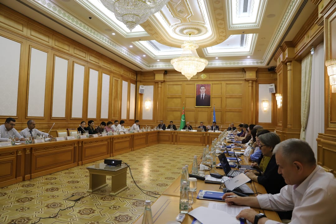 ПРООН провела встречу по обновлению ОНУВ Туркменистана