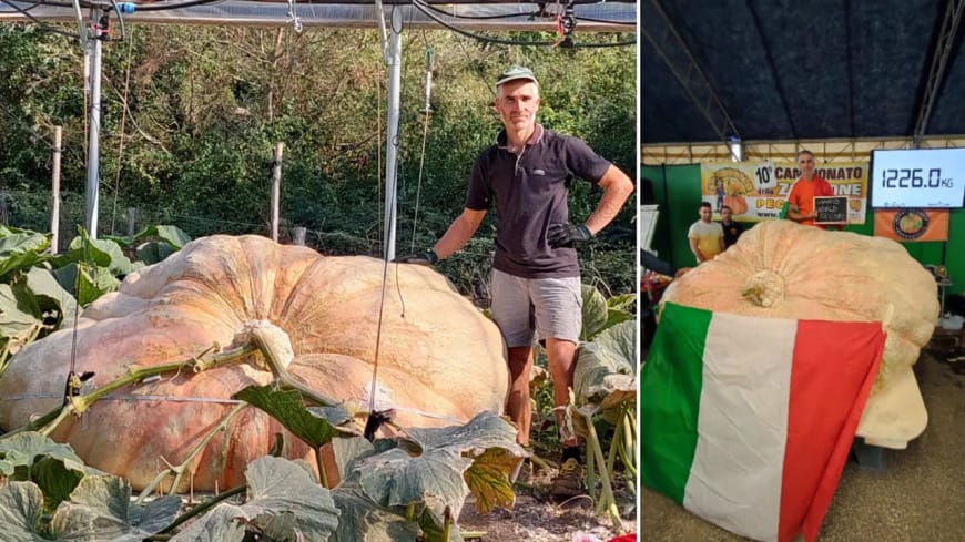 Фермер из Италии вырастил самую огромную тыкву в мире