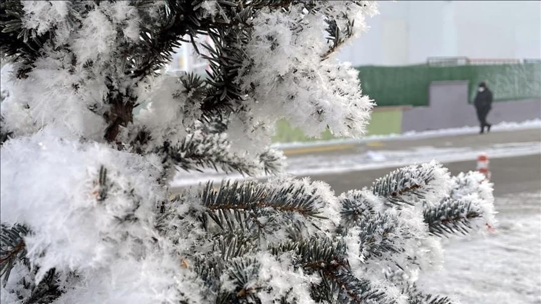 Сильные заморозки в Турции повлияли на сельскохозяйственный сектор