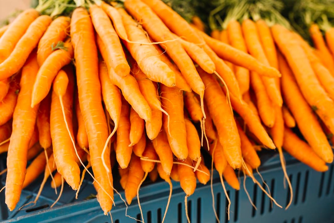Study: Regular consumption of carrots improves health