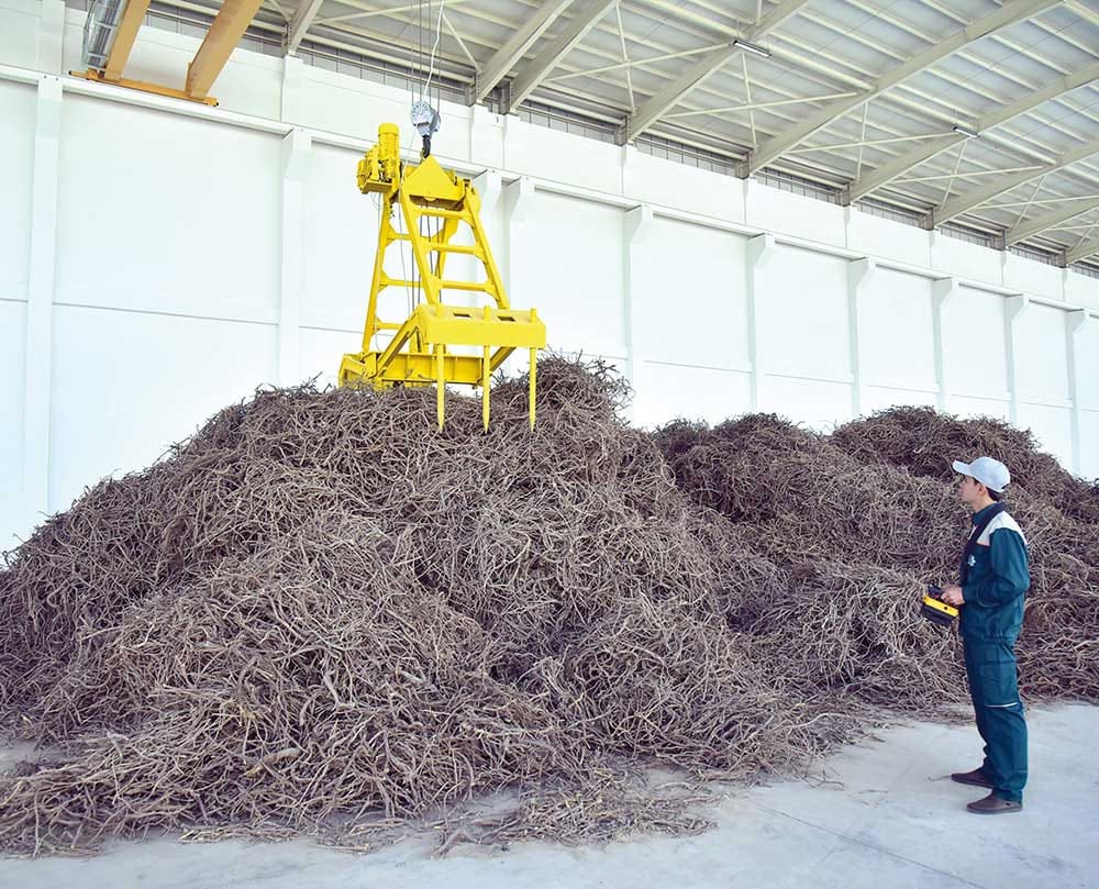 Агропромышленный комплекс «Буян» в Туркменистане произвел 28 тонн глицирризиновой кислоты