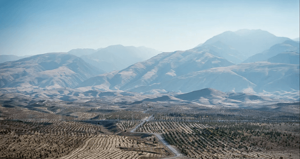 Опубликована новая редакция Закона Туркменистана «О Государственном земельном кадастре»