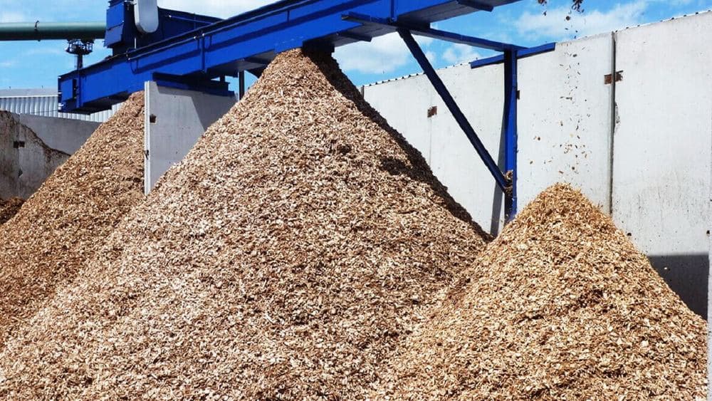 Открыт международный тендер на строительство завода по переработке деревянных отходов в Дашогузском велаяте