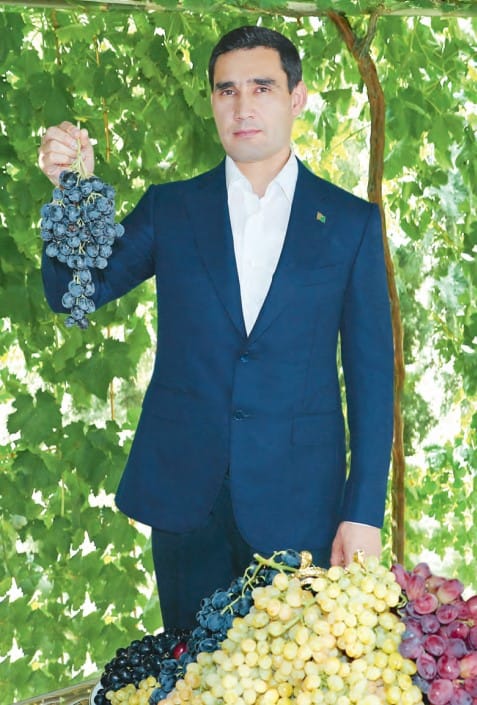 Serdar Berdimuhamedow «kärizek» üzüminiň hasylyny ýygnamaga badalga berdi
