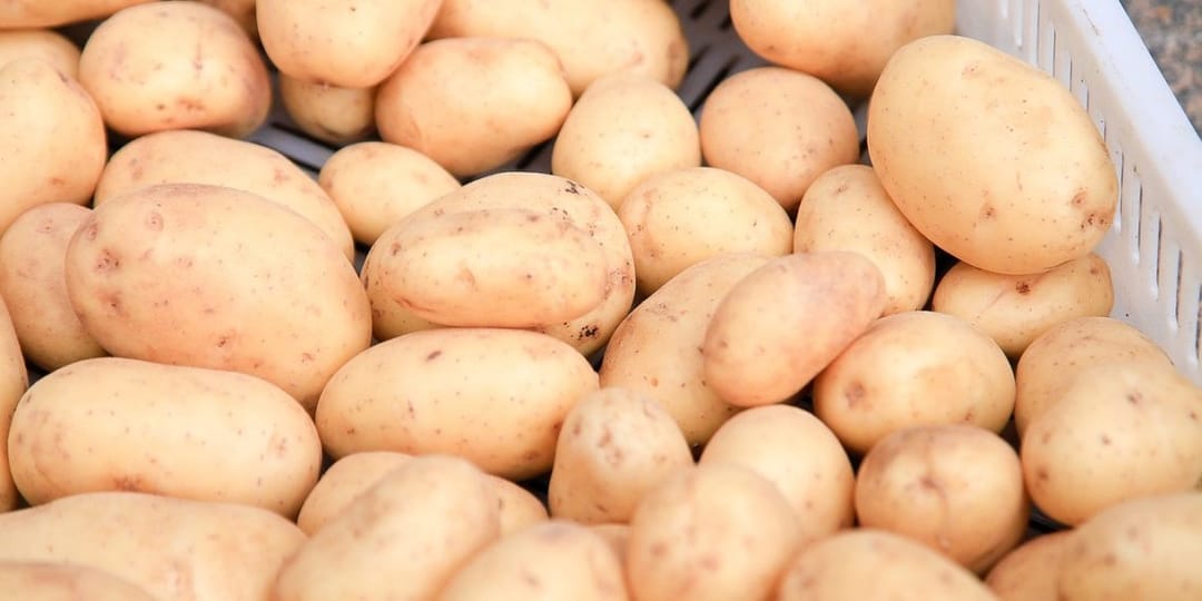 Туркменистан вошёл в тройку лидеров по импорту российского картофеля