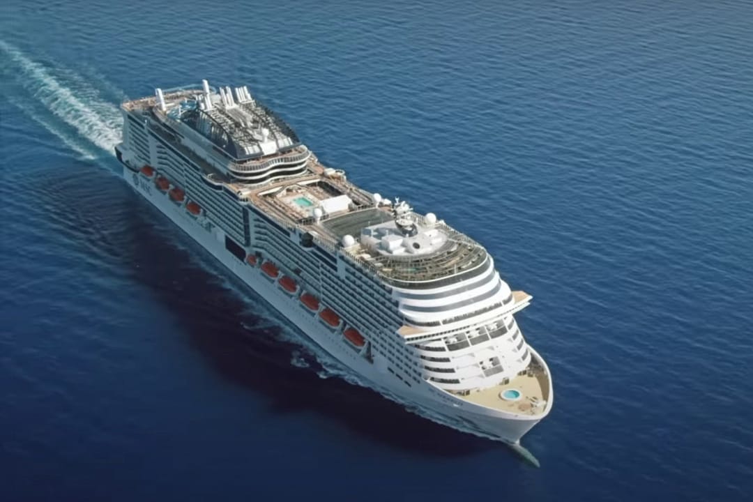 Cruise ship with a dead whale on its bow docks in New York