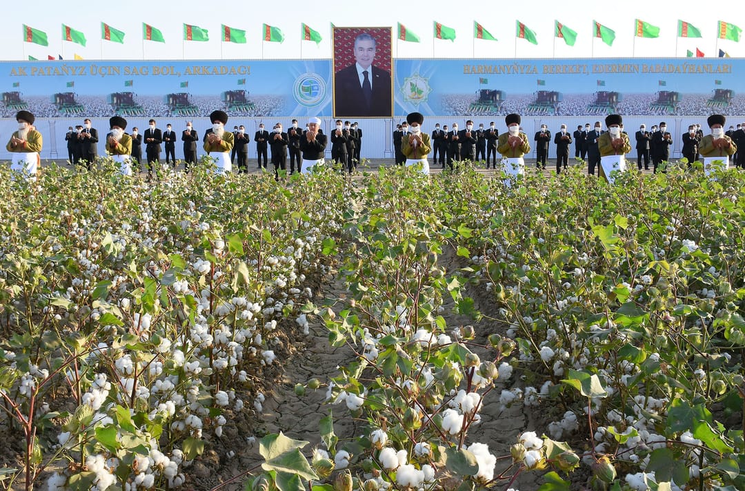 Mass picking of cotton begins in Turkmenistan