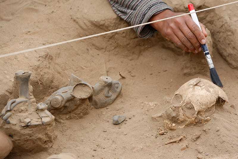 В Египте нашли массовое древнее захоронение собак вместе с телом ребенка