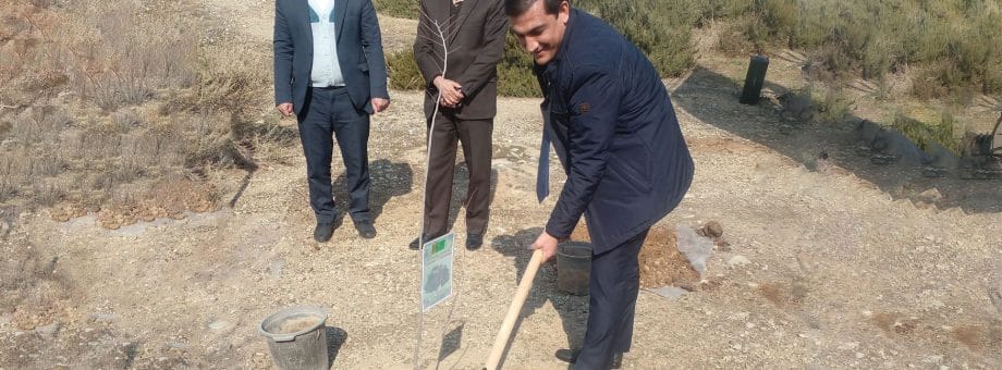 Türkmenistanyň ilçisi Tähranda geçirilen bag ekmek dabarasyna gatnaşdy