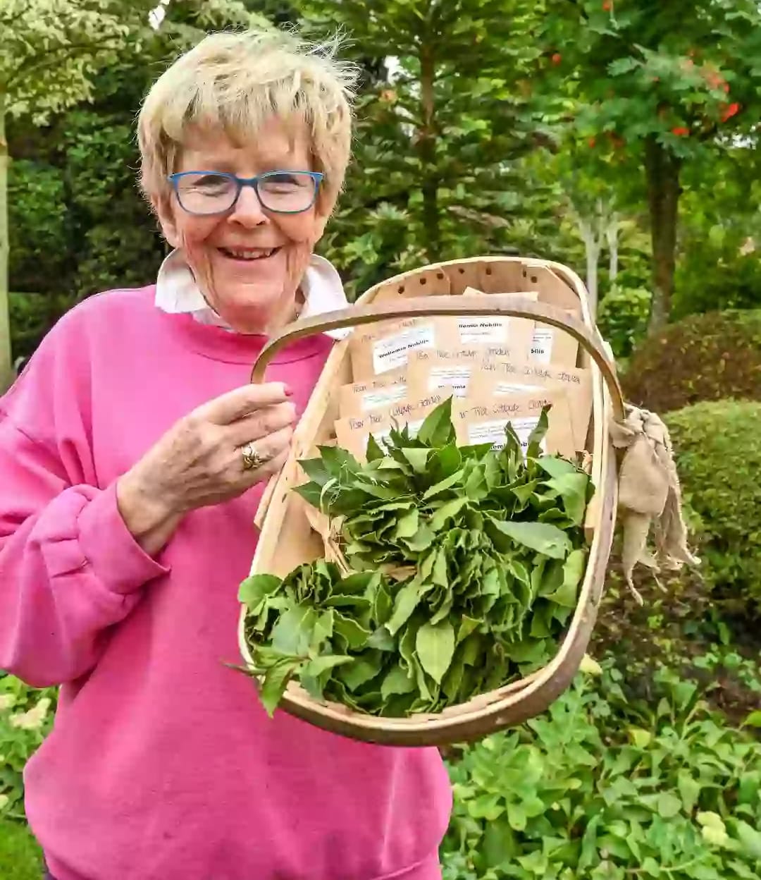 Angliýada är-aýal 6 müň dollarlyk tohum berýän daragt satyn aldylar