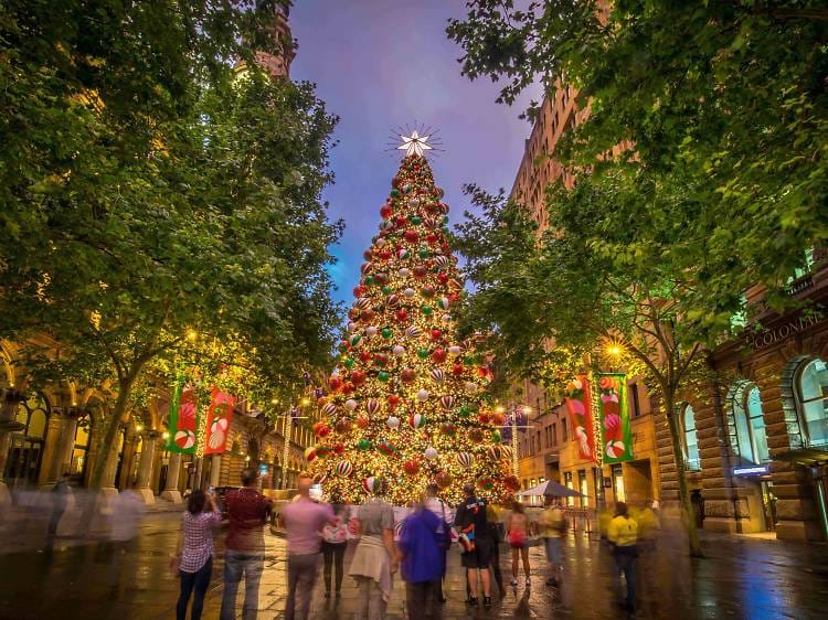 The southern hemisphere of the Earth is preparing for the December holidays