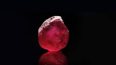 Самый большой рубин в мире представлен в Дубае