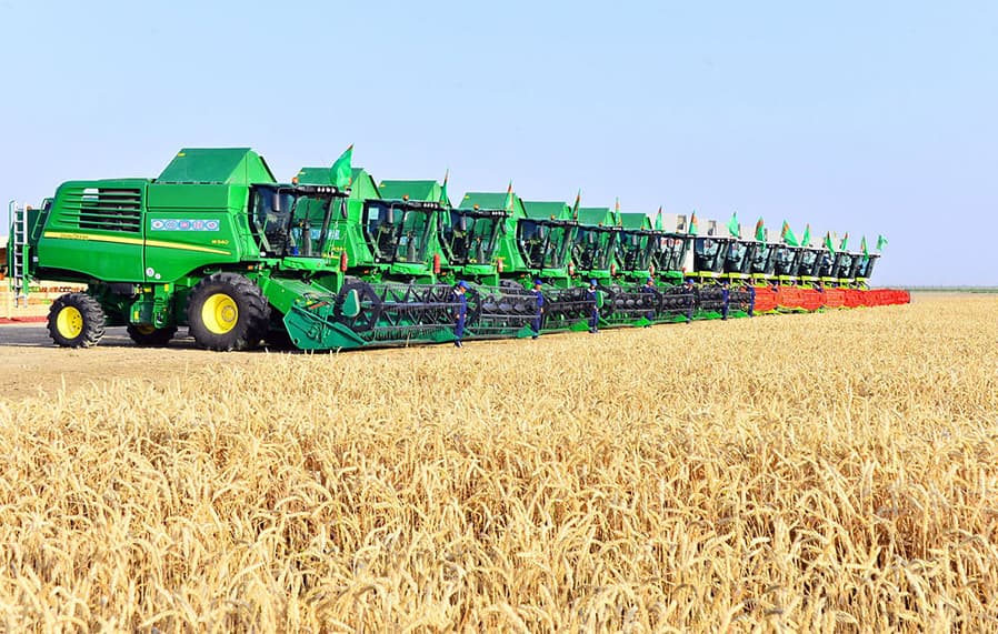 Зерноуборочная страда в Туркменистане начнётся 2 июня