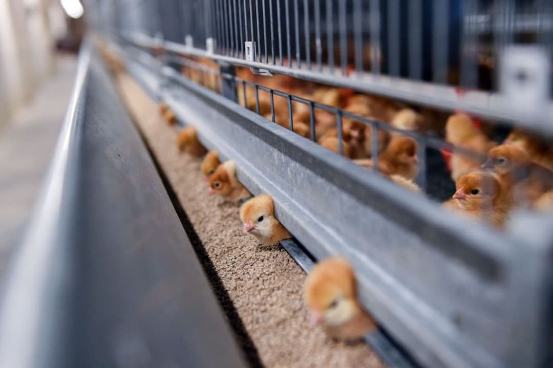 АКБТ «Халкбанк» предоставляет арендаторам специальный малообъёмный кредит