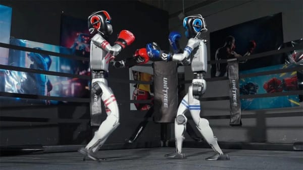 Hytaýda robotlaryň arasynda ilkinji boks tutluşygy geçdi