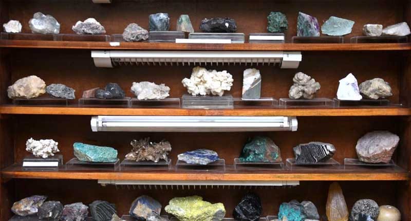Туркменский учёный передал в музей университета свою коллекцию редких минералов