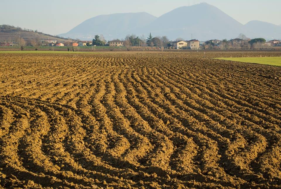 Представители Туркменистана приняли участие в конгрессе по ресурсосберегающему земледелию
