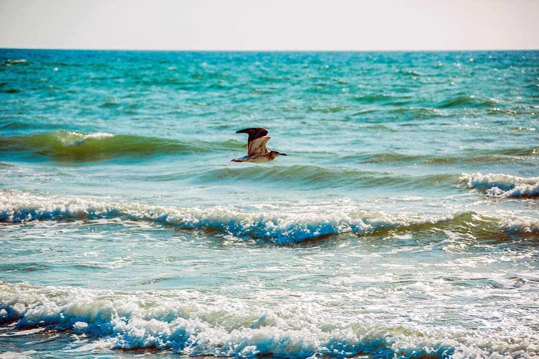 The Caspian Sea is a sea of harmony and opportunities