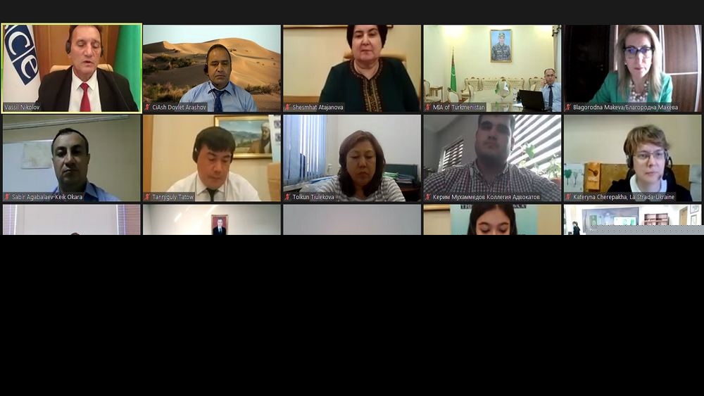 Вопросы предотвращения и криминализации домашнего насилия обсуждались в Туркменистане