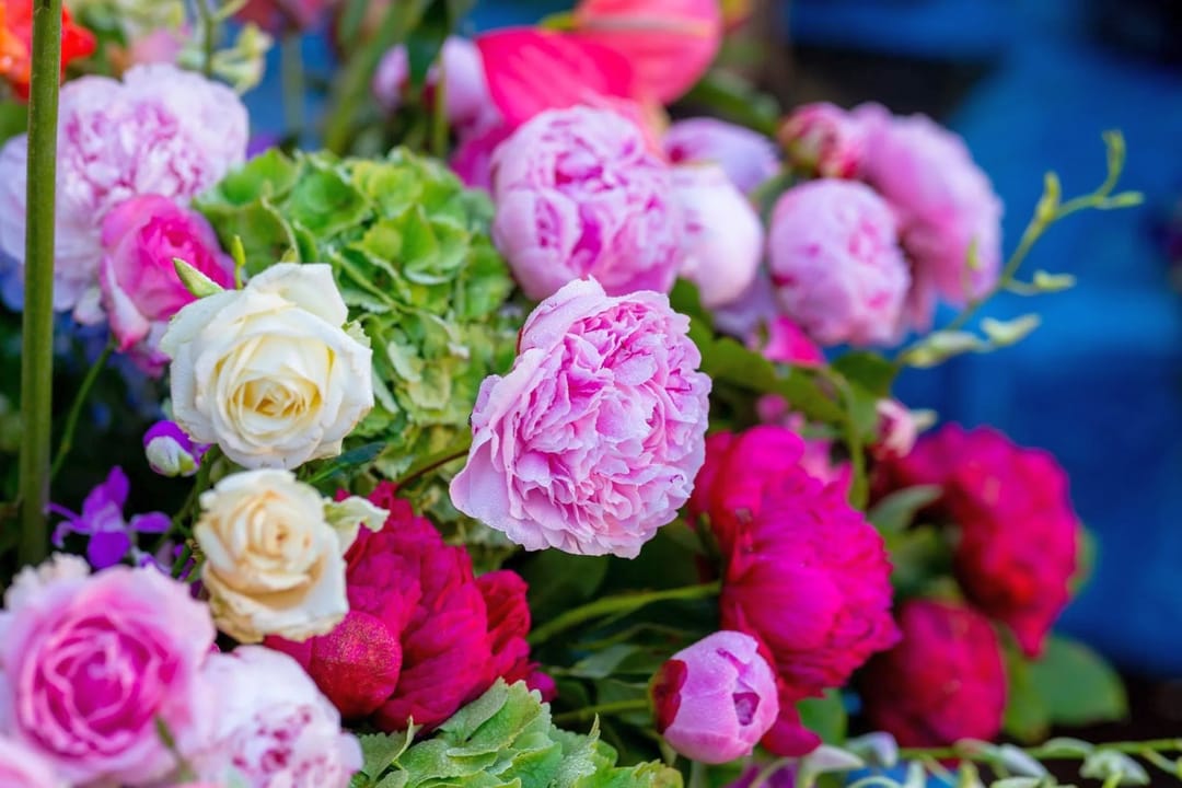 Флористы из Туркменистана примут участие в Фестивале цветов в Санкт-Петербурге