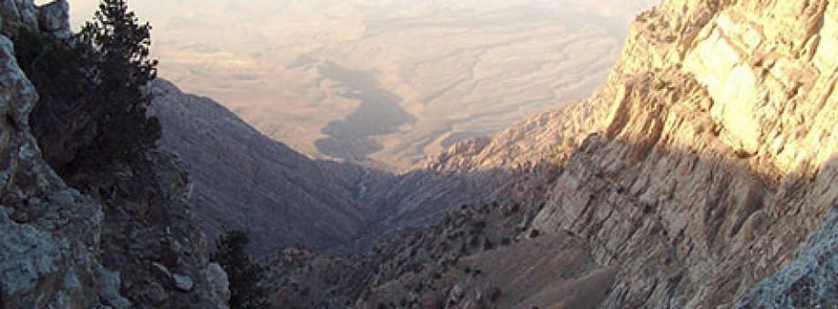 В Копетдагском природном заповеднике проведена научно-практическая конференция