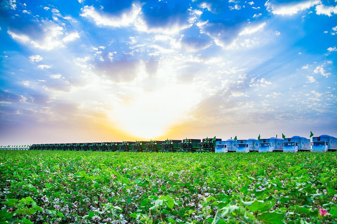 Президент Туркменистана поручил провести подготовку к посевной хлопчатника в соответствии с агросроками