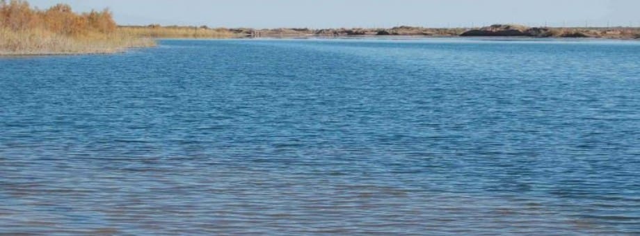 В Туркменистане утвержден лимит водопользования на 2020 год