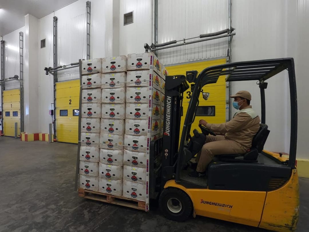 IE Miweli ülke re-exported bananas from Ecuador to Uzbekistan