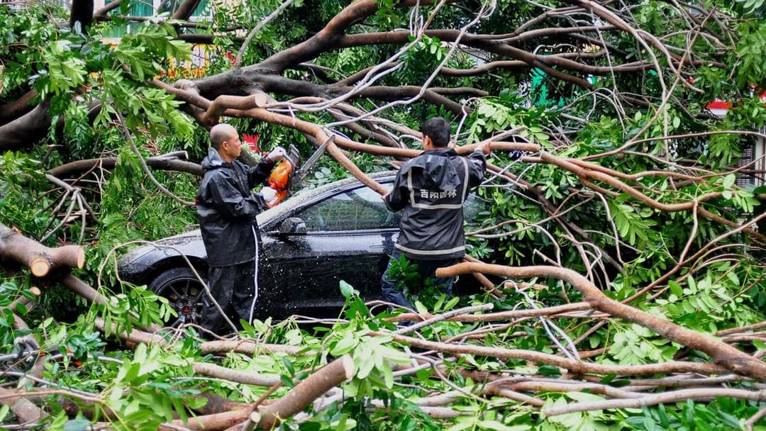 Typhoon “Kajiki” took the lives of three people in Vietnam