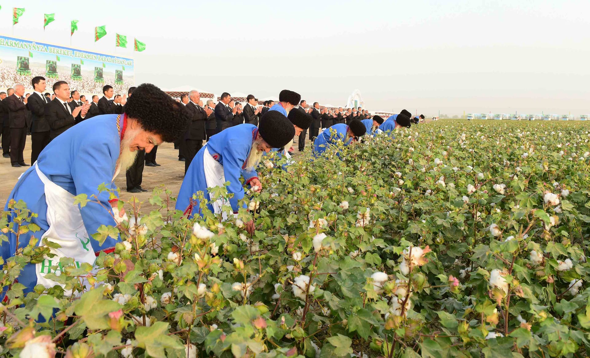 В Туркменистане стартовал сбор урожая хлопка