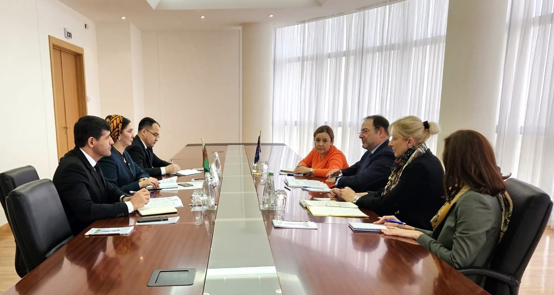 Turkmenistan and the EU discussed joint projects