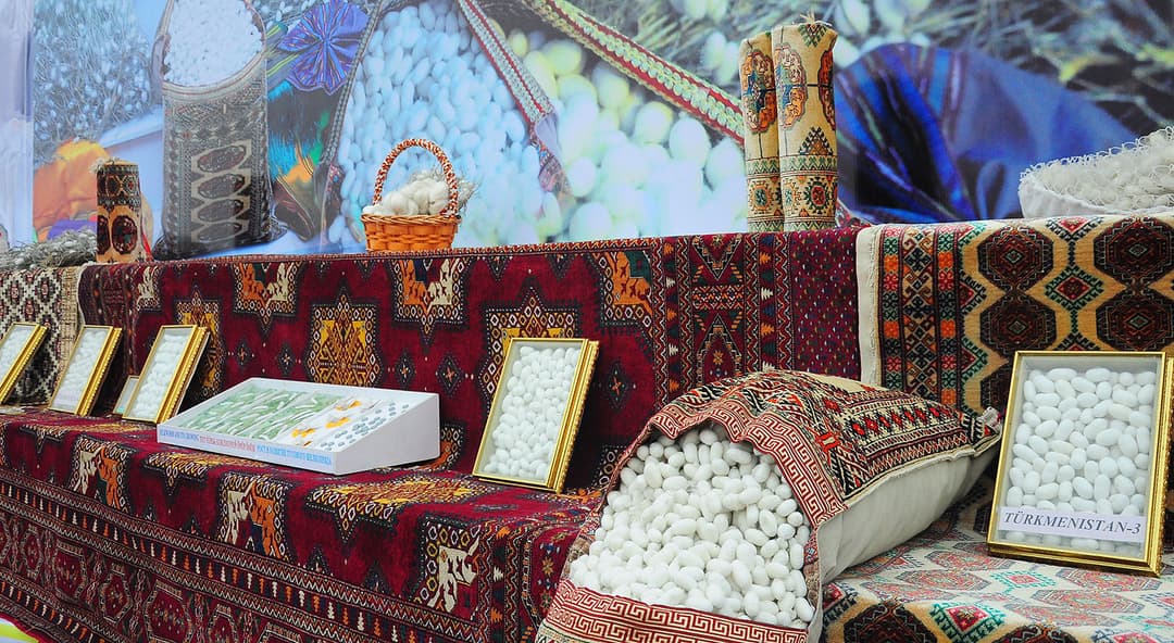 В Туркменистане в 2022 году планируется произвести 2 тысячи 300 тонн коконов шелкопряда