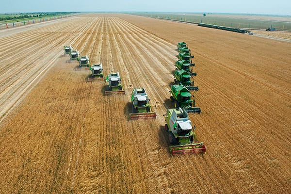 Президент Туркменистана дал задание подготовить новую Сельскую программу