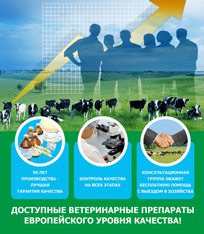 ОАО «БелВитунифарм» готово наладить поставки ветеринарных препаратов на рынок Туркменистана