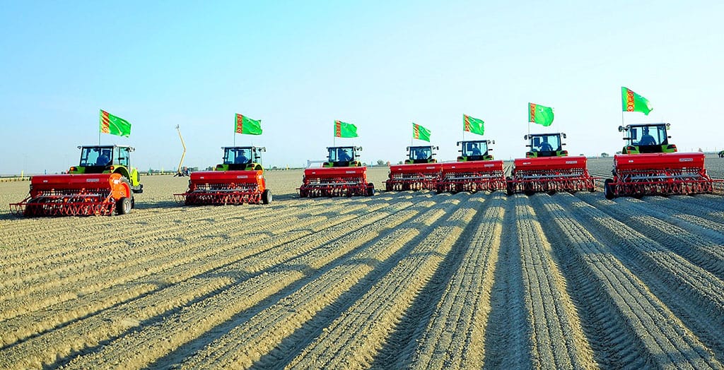 В Ахалском велаяте завершается сев озимой пшеницы