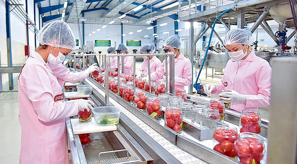 Туркменское предприятие «Мургап» увеличивает производство плодовоовощных консервов