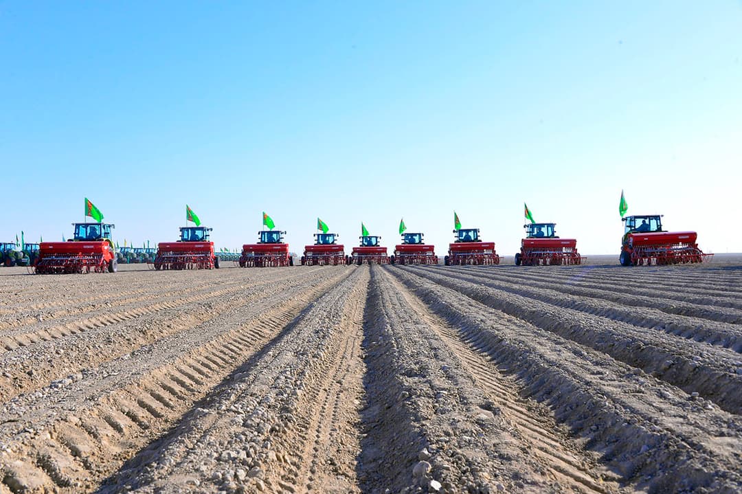 В Туркменистане начался сев озимой пшеницы